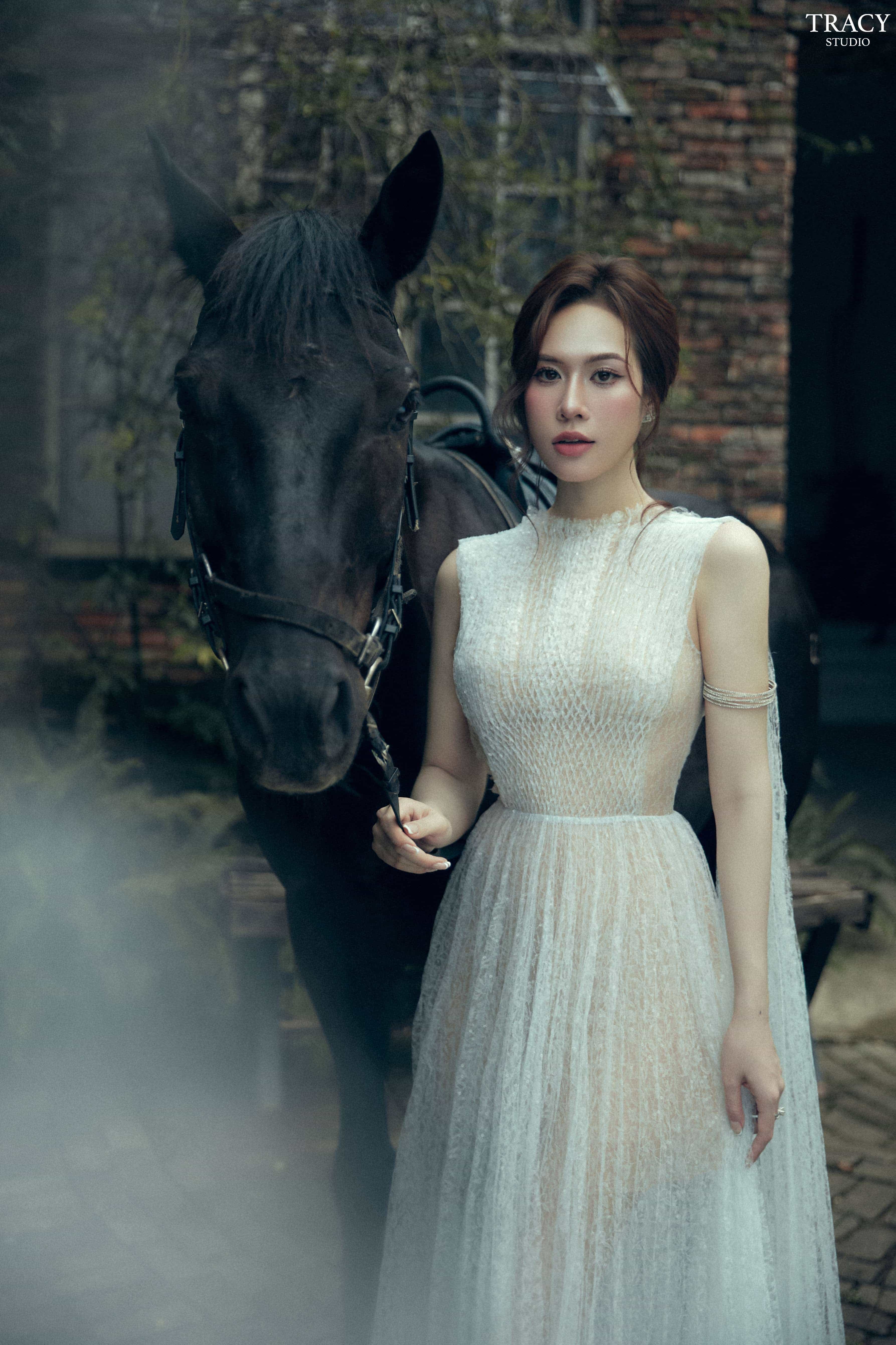 tracy studio chụp concept outdoor ngựa